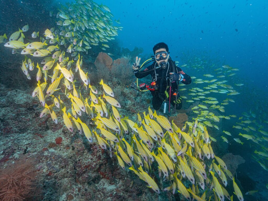 馬爾地夫Infinity船宿潛旅日記|八天七夜潛進鯊魚宇宙 img 0340.jpg