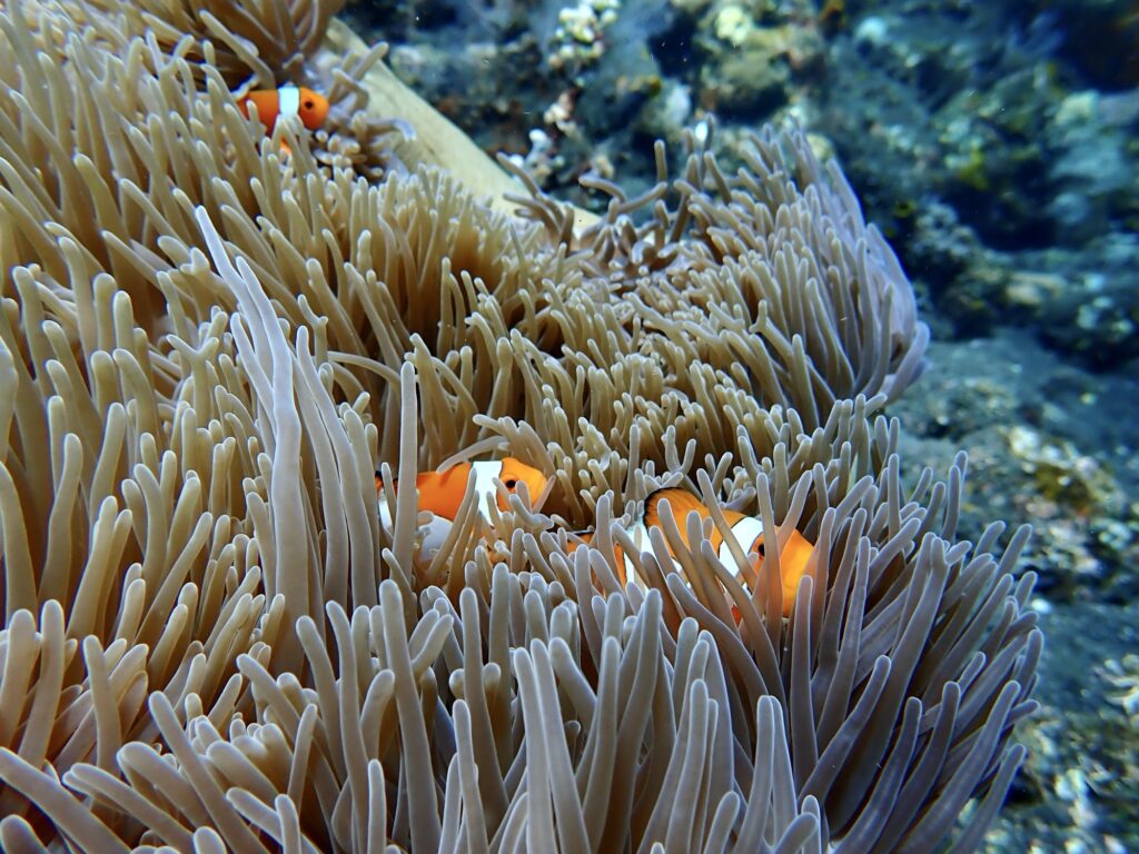p1010633.jpg